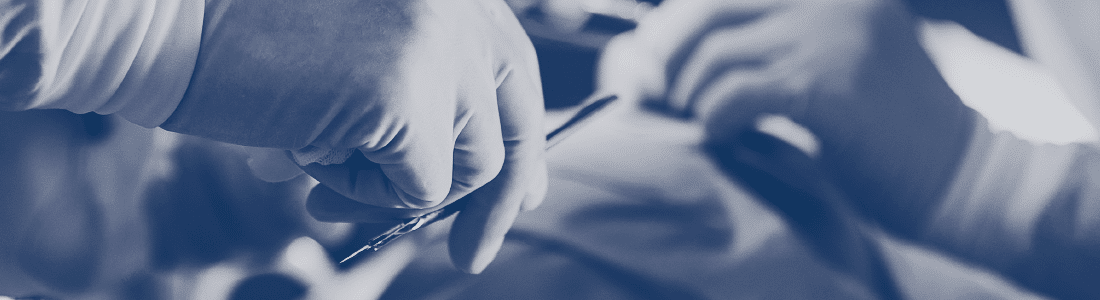 australian veterinary wholesalers